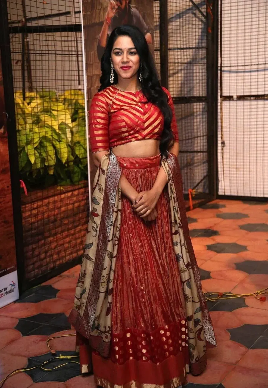 Indian Actress Mrunalini at Movie Pre Release Event